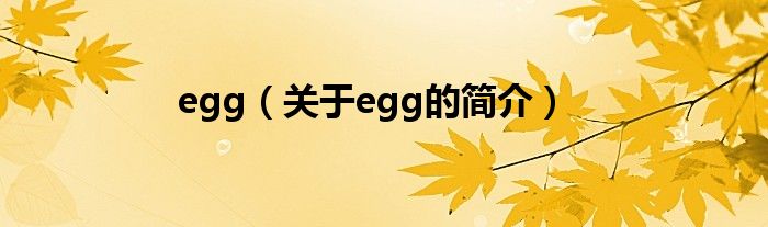 egg（关于egg的简介）