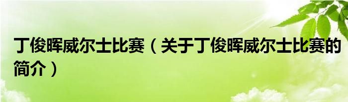 丁俊晖威尔士比赛（关于丁俊晖威尔士比赛的简介）