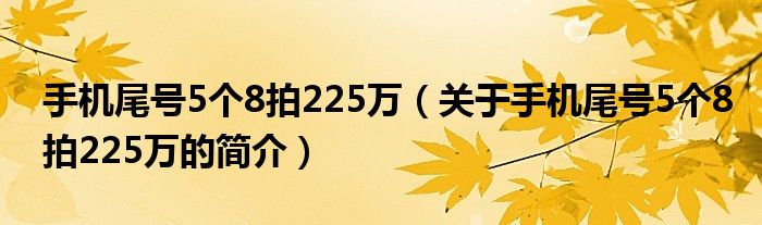 手机尾号5个8拍225万（关于手机尾号5个8拍225万的简介）