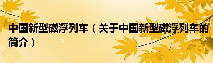 中国新型磁浮列车（关于中国新型磁浮列车的简介）