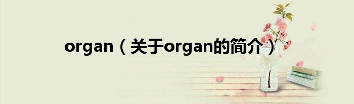 organ（关于organ的简介）