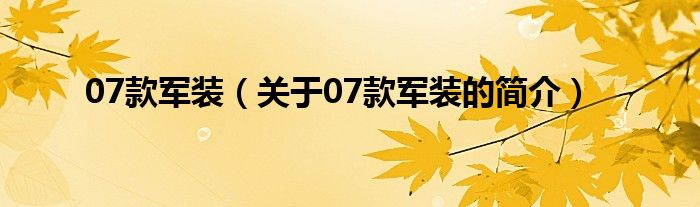 07款军装（关于07款军装的简介）