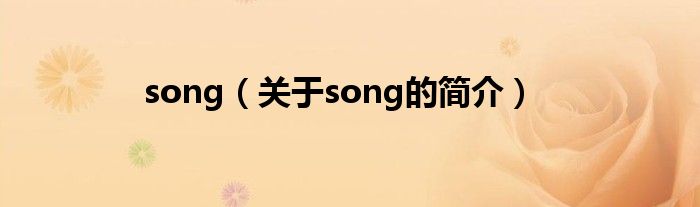 song（关于song的简介）