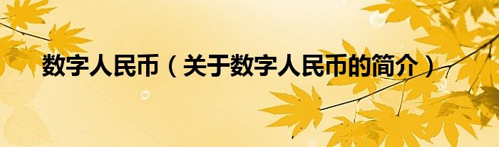 数字人民币（关于数字人民币的简介）