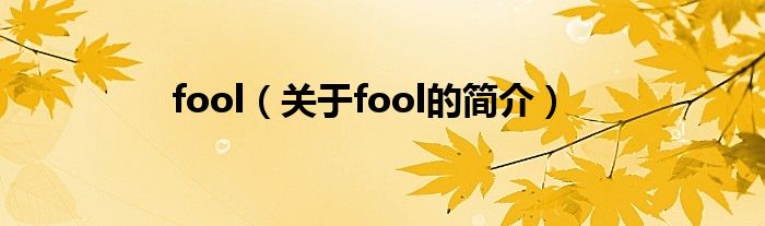 fool（关于fool的简介）