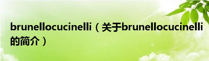 brunellocucinelli（关于brunellocucinelli的简介）