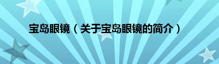 宝岛眼镜（关于宝岛眼镜的简介）