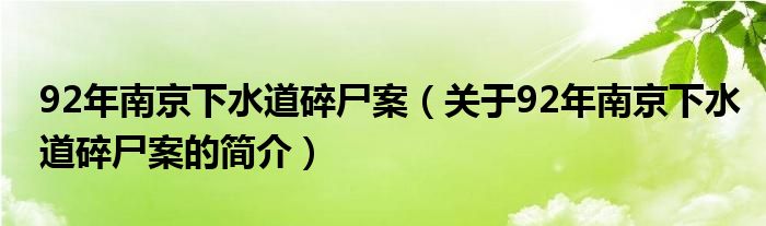 92年南京下水道碎尸案（关于92年南京下水道碎尸案的简介）