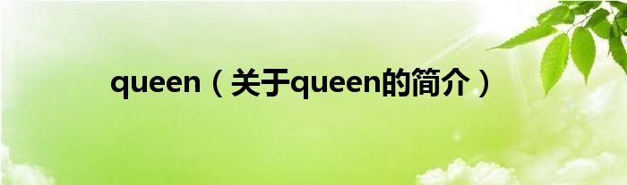 queen（关于queen的简介）