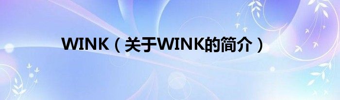 WINK（关于WINK的简介）