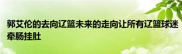 郭艾伦的去向辽篮未来的走向让所有辽篮球迷牵肠挂肚