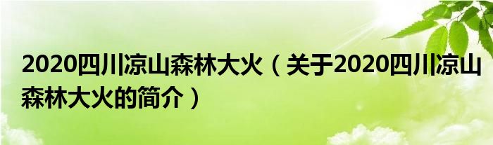 2020四川凉山森林大火（关于2020四川凉山森林大火的简介）