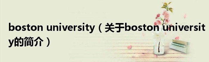 boston university（关于boston university的简介）