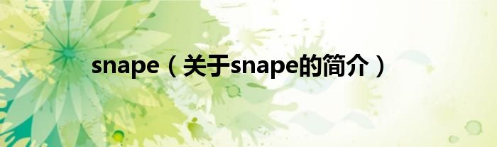 snape（关于snape的简介）