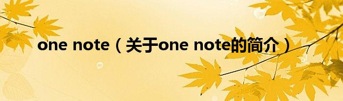 one note（关于one note的简介）