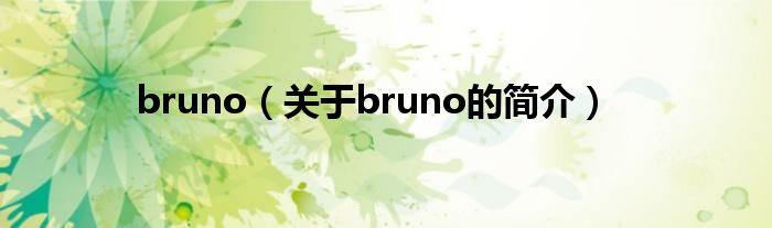 bruno（关于bruno的简介）