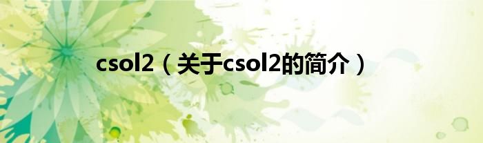 csol2（关于csol2的简介）