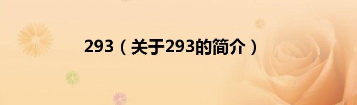 293（关于293的简介）