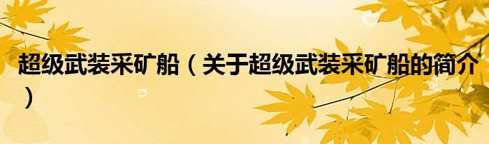 超级武装采矿船（关于超级武装采矿船的简介）