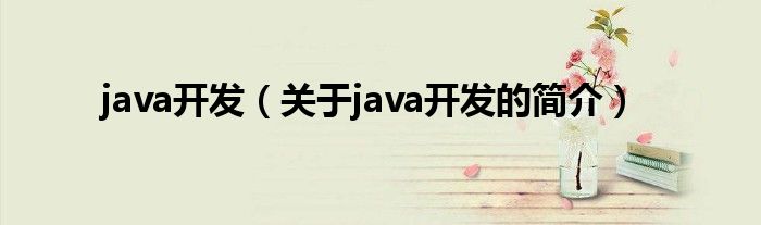 java开发（关于java开发的简介）