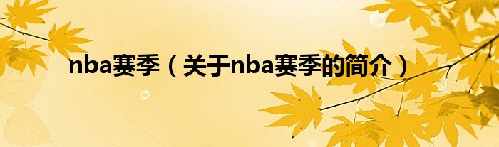 nba赛季（关于nba赛季的简介）