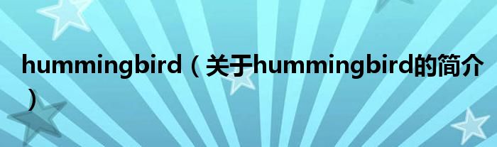 hummingbird（关于hummingbird的简介）