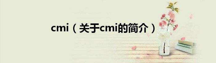 cmi（关于cmi的简介）