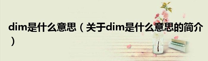 dim是什么意思（关于dim是什么意思的简介）