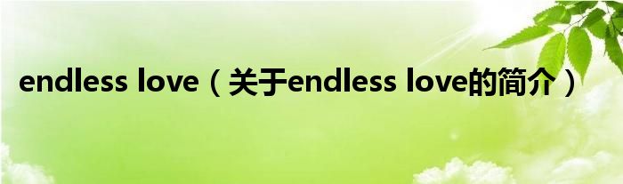 endless love（关于endless love的简介）