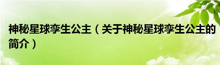 神秘星球孪生公主（关于神秘星球孪生公主的简介）