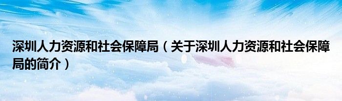 深圳人力资源和社会保障局（关于深圳人力资源和社会保障局的简介）