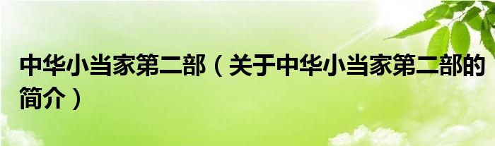 中华小当家第二部（关于中华小当家第二部的简介）