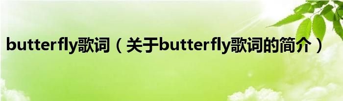 butterfly歌词（关于butterfly歌词的简介）