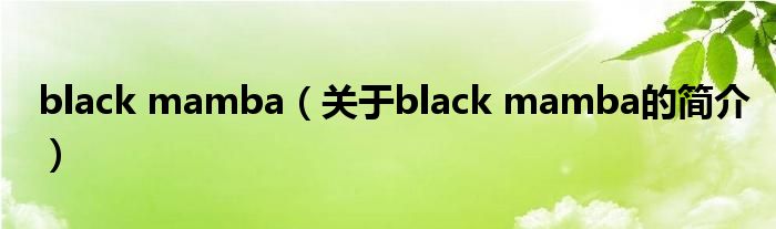 black mamba（关于black mamba的简介）