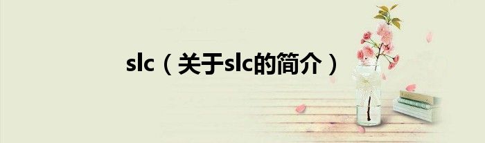 slc（关于slc的简介）