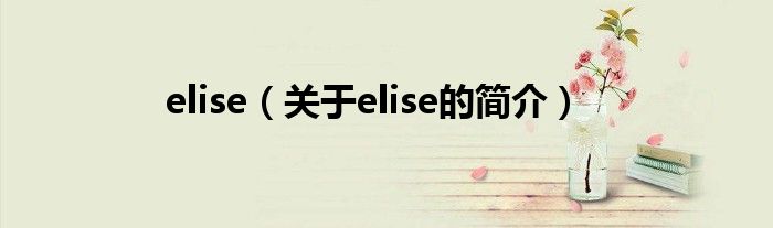 elise（关于elise的简介）