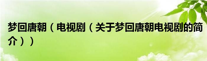 梦回唐朝（电视剧（关于梦回唐朝电视剧的简介））