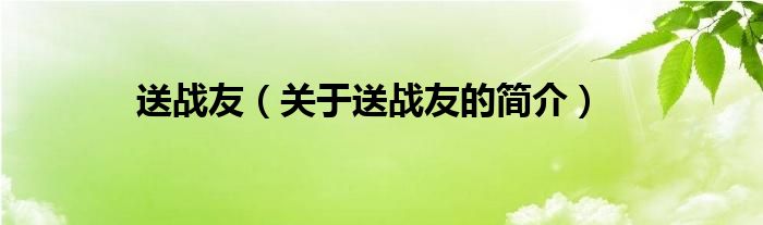 送战友（关于送战友的简介）