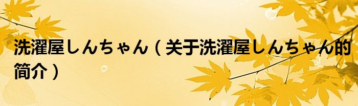 洗濯屋しんちゃん（关于洗濯屋しんちゃん的简介）