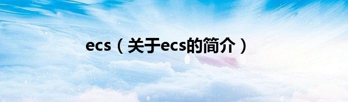 ecs（关于ecs的简介）