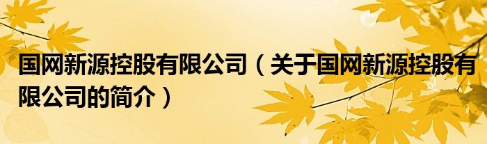 国网新源控股有限公司（关于国网新源控股有限公司的简介）