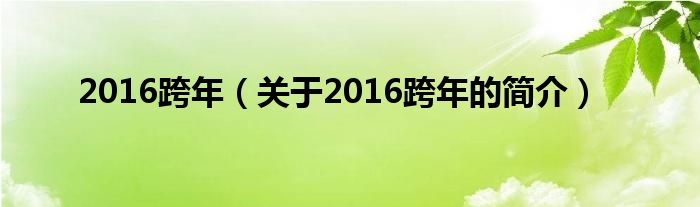 2016跨年（关于2016跨年的简介）