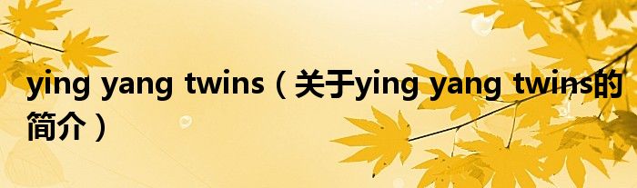 ying yang twins（关于ying yang twins的简介）