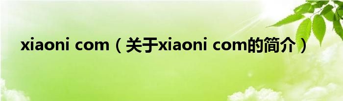 xiaoni com（关于xiaoni com的简介）