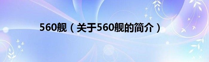 560舰（关于560舰的简介）