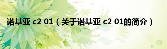 诺基亚 c2 01（关于诺基亚 c2 01的简介）