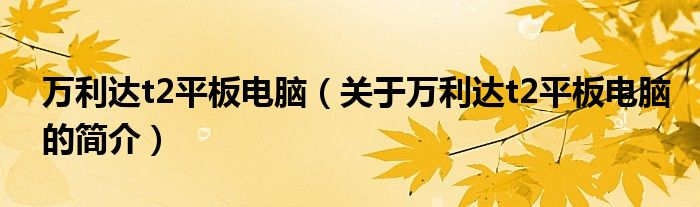 万利达t2平板电脑（关于万利达t2平板电脑的简介）