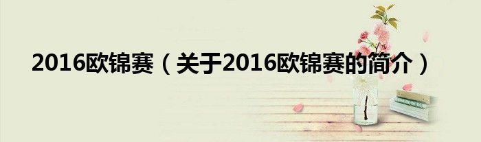 2016欧锦赛（关于2016欧锦赛的简介）