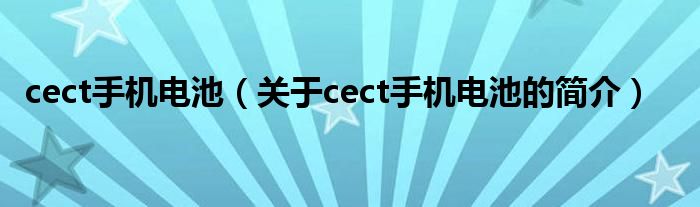 cect手机电池（关于cect手机电池的简介）