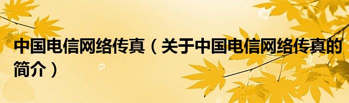 中国电信网络传真（关于中国电信网络传真的简介）